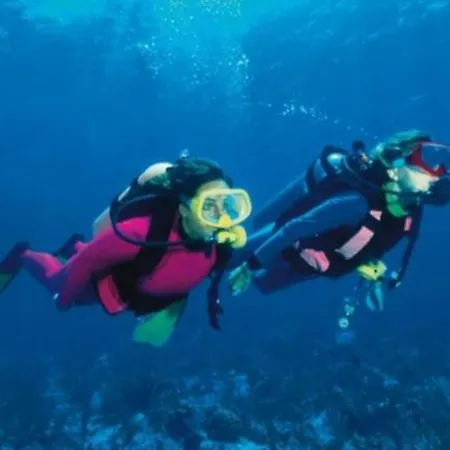 Pieds Dans Eau Йер