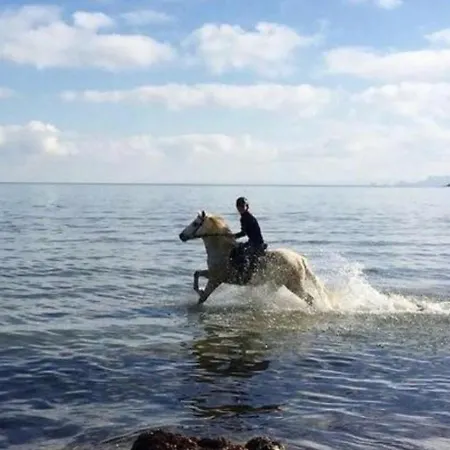 Апартаменты Pieds Dans Eau