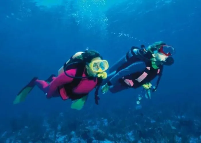 Pieds Dans Eau Hyeres