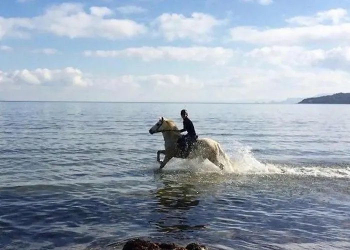 Apartment Pieds Dans Eau