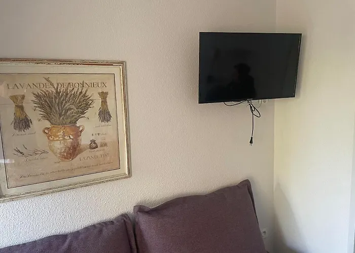 Apartment Pieds Dans Eau Hyeres